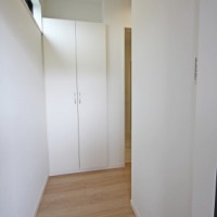 Lb11